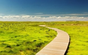 Моё намерение реализовалось буквально через месяц после начала курса