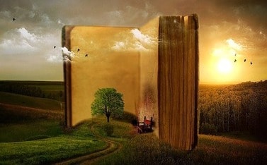 Замечательная выжимка из книг Вадима Зеланда