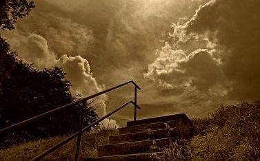 «Пять ступеней Вадима Зеланда» являются моими настольными книгами