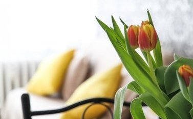 Моя семья действительно купила однокомнатную квартиру