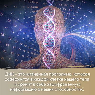 ДНК – это жизненная программа, которая содержится в каждой клетке нашего тела и хранит в себе зашифрованную информацию о наших способностях.