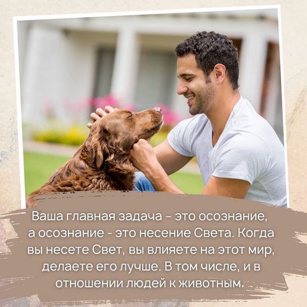 Помните, что ваша главная задача – это осознание, а осознание - это несение Света. Когда вы несете Свет, вы влияете на этот мир, делаете его лучше. В том числе, и в отношении людей к животным. 