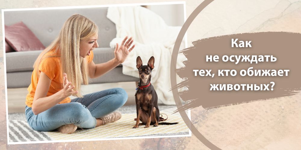 Как не осуждать тех, кто обижает животных?