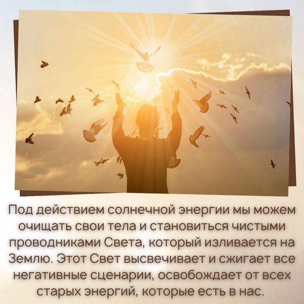Под действием солнечной энергии мы можем очищать свои тела и становиться чистыми проводниками Света, который изливается на Землю. Этот Свет высвечивает и сжигает все негативные сценарии, освобождает от всех старых энергий, которые есть в нас.