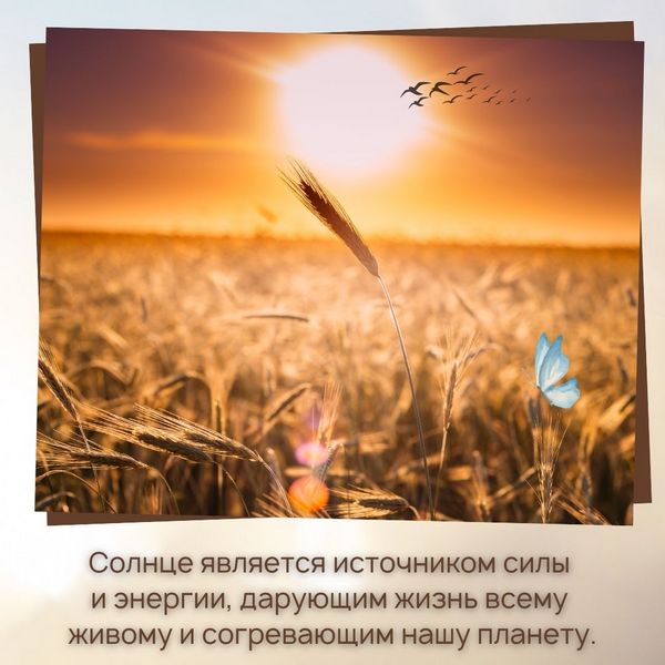 Солнце является источником силы и энергии, дарующим жизнь всему живому и согревающим нашу планету.