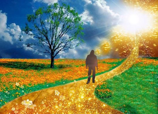 Урок 3. Исследование.
На стороне изобилия