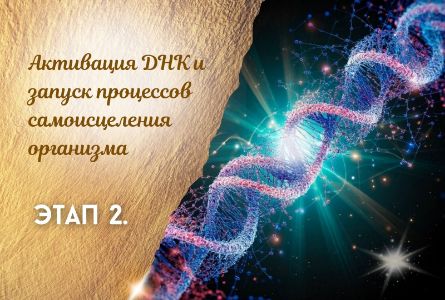 ЗАНЯТИЕ 2. «АКТИВАЦИЯ ДНК И ЗАПУСК ПРОЦЕССОВ САМОИСЦЕЛЕНИЯ ОРГАНИЗМА»