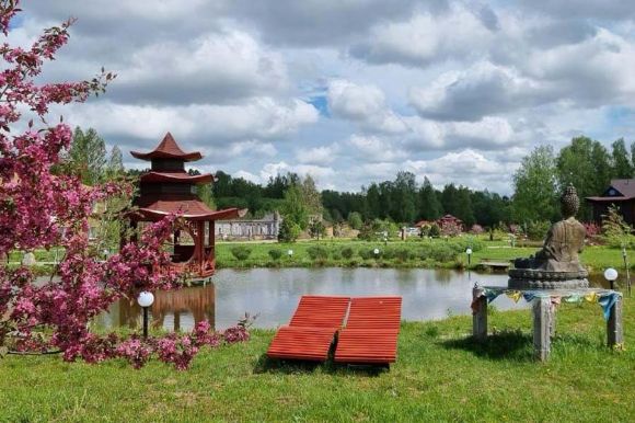 Территория Дзен