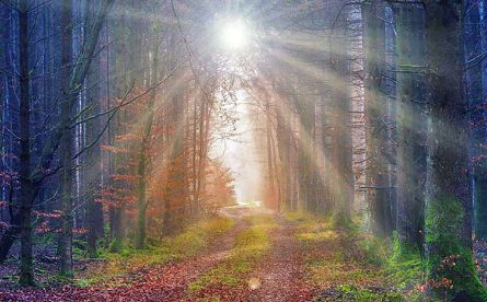 Интенсив выходного дня на Валдае