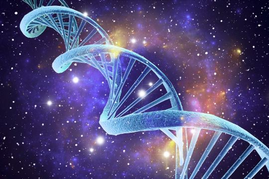 На уровне Духа вы вспомните свою истинную суть, сможете пробудить божественные способности внутри себя и почувствовать силу в Духе.