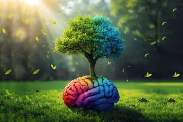 Трансерфинг помогает сделать выбор