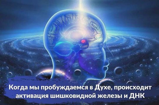 На уровне Духа вы вспомните свою истинную суть, сможете пробудить божественные способности внутри себя и почувствовать силу в Духе.