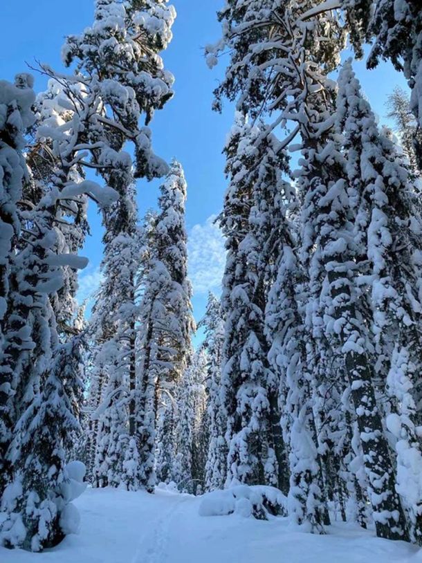 Интенсив выходного дня на Валдае