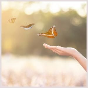 3 месяца поддержки от тренера и кураторов курса