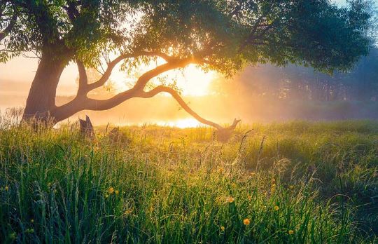 Валдай - край лесов, озер и заповедных уголков.