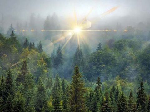 Трансерфинг-путешествие на Валдай, активирующее вашу духовную память