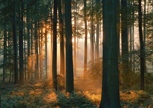 Валдай - край лесов, озер и заповедных уголков.