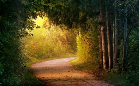 Интенсив выходного дня на Валдае