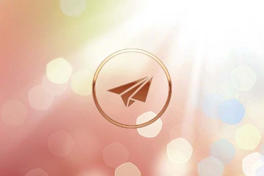 Аудиовстреча